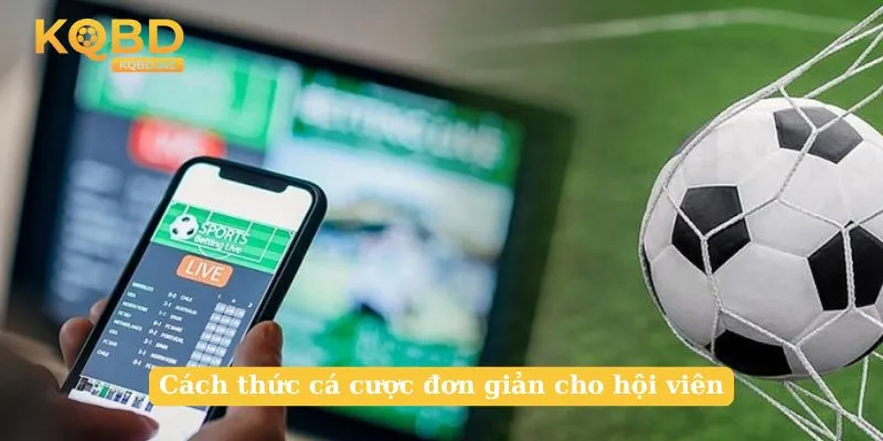 Cách thức cá cược đơn giản cho hội viên
