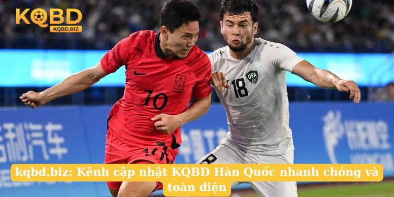 vidalum.com.mx: Kênh cập nhật KQBD Hàn Quốc nhanh chóng và toàn diện